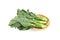 Fresh asian kale in basket on white