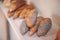 Fresh assortments of bread on the shelf in the bakery