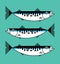 Fresh atlantic mackerel sea fish isolated, icon, graphic symbol, seafood packaging concept, hand hrawn vector