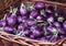 Fresh Aubergine in the box in street market.Aubergine, central focus. A stack of purple aubergines on sale at a market. Eggplant