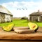 Fresh avocado cutted in halves on wooden table top. Blurred cottage background.