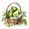 Fresh Avocado Picnic Basket Watercolor Illustration