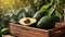 Fresh avocados in nature delicious vegetarian plant