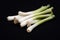 Fresh baby leek on black background