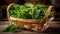 Fresh baby spinach leaves in rustic wooden trug