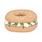 Fresh bagel sandwich with cream cheese and rucola. Sesame seeds on top. Vector illustration.