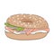 Fresh bagel sandwich with cream cheese and salmon. Poppy seeds and sesame on top. Vector illustration.