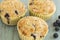 Fresh Baked Blueberry Breakfast Muffins