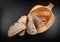 Fresh baked Fermented  Sourdough Buckwheat Bread isolated on blackboard