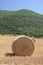 Fresh bales of hay