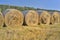 Fresh bales of hay on line in a field