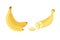 Fresh banana fruits, collection of vector illustrations. Peeled and sliced bananas