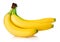 Fresh banana fruits isolated