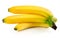 Fresh banana fruits isolated