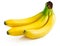 Fresh banana fruits isolated