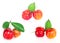 Fresh Barbados cherry on white background, Isolated fruit object