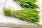 Fresh barley grass on a white background