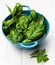 Fresh Basil Leafs