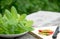 Fresh basil leaves on a plate and chillies on a chopping board c