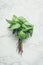 Fresh basil on marble background