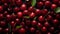 Fresh basket of ripe cherries, background