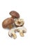 Fresh Bay Bolete mushrooms