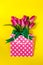 Fresh beautiful lila tulips in gift package on bright yellow background. Spring concept. Top view.