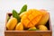 Fresh and beautiful mango fruit set in a wooden box with sliced diced mango chunks on a light wooden background, copy spacetext s