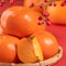 Fresh beautiful sliced sweet persimmon kaki isolated on red table background and bamboo sieve, Chinese lunar new year design