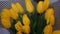 Fresh beautiful yellow tulips. Spring concept. top view
