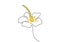 Fresh beauty flower one continuous line drawing style. Printable decorative beautiful flower for park icon hand drawn design.