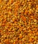 Fresh bee pollen, natural vitamin source, empowering bee pollen,pollen and human health