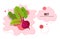 Fresh beet sticker tasty vegetable icon healthy food concept horizontal copy space