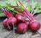 Fresh beetroot on rustic wooden background. Harvest vegetable cooking conception . Diet or vegetarian food concept