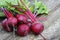 Fresh beetroot on rustic wooden background. Harvest vegetable cooking conception . Diet or vegetarian food concept