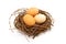Fresh beige eggs in nest on white background