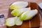 Fresh of belgian endive chicory on wooden table.