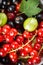 Fresh berries fruit background