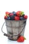 Fresh Berries in Pail