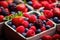 Fresh berries in wooden box. Selective focus. Shallow dof, Farmers Market Berries Assortment Closeup. Strawberries, Blueberries,