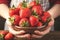 Fresh berry bounty Womans hands hold a bowl of strawberries