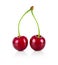 Fresh berry cherry at branch healthy food