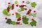 Fresh berry pattern red currants and gooseberries with leaves healthy dessert