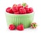 Fresh berry raspberry with green leaf
