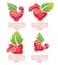 Fresh berry symbols