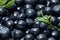 Fresh bilberries and green leaves as background, closeup