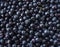 Fresh bilberry background. Texture blueberries close up.