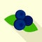 Fresh bilberry icon, flat style