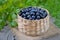 Fresh bilberry in a wicker basket