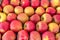 Fresh BIO apples being sold at a farmers market stall